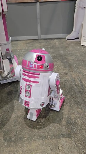 New one in the family !!! | R2-Kt-8 French Pink Force