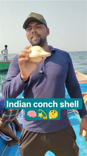 சங்கு பற்றிய தகவல்கள்,🐚 Indian conch shell in Enayam Kanyakumari dist. #fish #fishing #sea #shorts