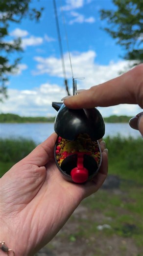 Spomb Secrets: Feed Carp Like a Pro! 🚀#fishing #carpfishing #карпфишинг #carp #рыбалка