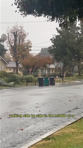trash can ghost💀 #shortvideo #viralvideo #uniqueshorts #subscribe #creepy #journey #mystery
