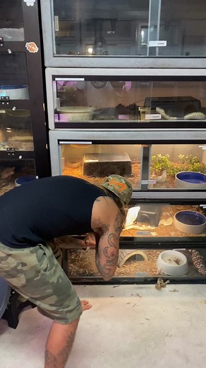 Tyler Nolan on TikTok