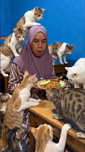Mak Ton Makan Diganggu Kucing‼️ #mamalela #mamalelateam #dikabj #viral #trending #shorts