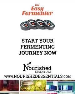 From moldy ferments to exploding jars to loose airlocks - we knew there had to be a better way to produce small-batch ferments. Our solution - The Easy Fermenter! | Nourished Essentials