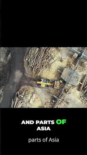 The Rise and Fall of the British Empire Explained