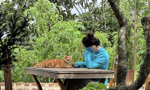 #CapCut cắt anh về kí ức