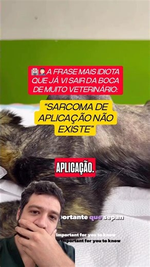 O maior sarcoma de aplicação em um gato que eu já vi…