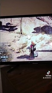 another glitch in bless unleashed