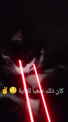 Os vídeos de jeep (@krnl_4472) com suara asli - ️『DJKVNXDツ🇮🇩』