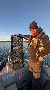 Hummersesongen er straks over og vi minner om at det er på tide å endre fluktåpningen fra liten til stor! Man kan fortsette å fiske etter krabber med teinen så lenge man har endret til stor fluktåpning. Men vet du hva du skal gjøre om du allikavel får en hummer i teinen? Slippe den fri så klart! Skitt fiske! Ps: vi er fullt klar over at i øvre del av landet kan du fangste hummer til og med 31 desember! Men hoveddelen av fiske foregår på øst, sør og vest -delen av landet. | Norges Miljøvernforbun