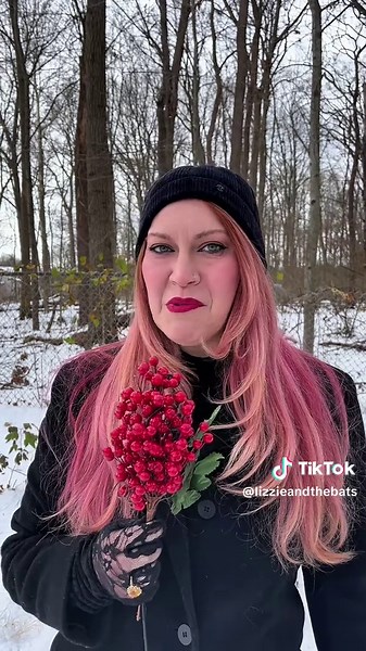 Happy December, witches! It’s finally that time of year. #witch #wheeloftheyear #yule #witchtok #witchcraft