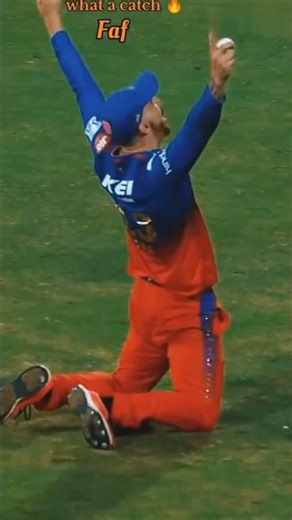 Cricket #cricketlover #cricket #ipl #msdhoni #love #shorts #virat