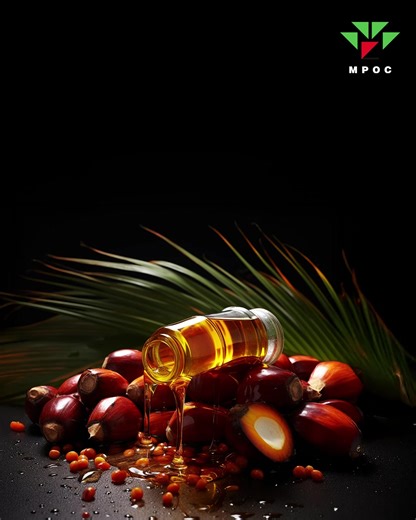 Cooking oils play a vital role in both nutrition and kitchen performance and palm olein continues to support this balance. Its natural composition makes it ideal for everyday use, while its high oxidative stability helps households and businesses prepare meals with confidence. Over time, palm olein has become a trusted choice that brings together value, quality, and care for nutrition. Cooking oils play a vital role in both nutrition and kitchen performance and palm olein continues to support th