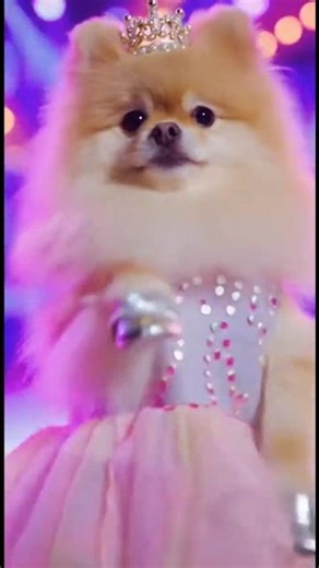 Tiny Crown: The Dancing Princess Pup