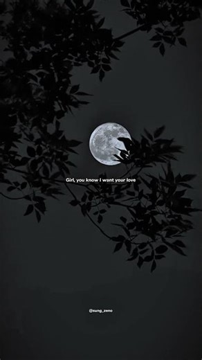 Shape of You - Ed Sheeran | lyrics | aesthetic | whatsapp Status | English songs | slowed | speed up