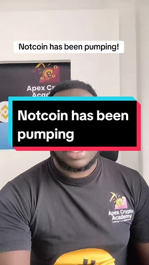 Notcoin Price Surge: 2.5x Gains in 7 Days | Diversify Your Portfolio!