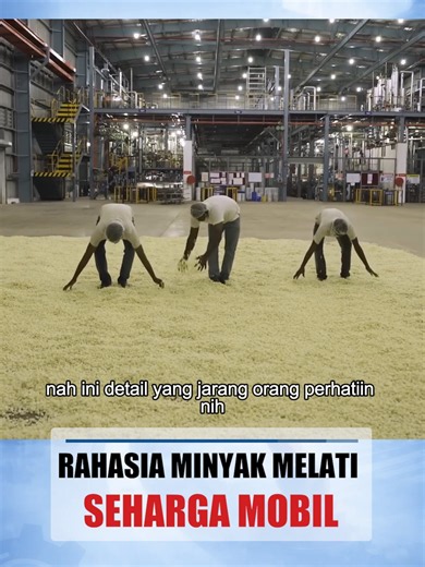 Pernah bayangkan butuh 1.000 kg bunga melati hanya untuk menghasilkan 1 kg minyak? 🤯 Di video ini, kita bongkar rahasia para pemetik bunga di India yang harus bekerja sebelum fajar demi menjaga kualitas aroma. Mulai dari teknik petik tangan yang lembut, proses mekar alami di pabrik, sampai metode ekstraksi pelarut khusus untuk menjaga kemurnian aromanya. Bukan cuma wangi, minyak ini adalah hasil kerja keras jutaan bunga! Simak sampai habis buat tahu bagian unik dari aroma melati yang jarang ora