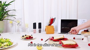 Microwave Toaster & Sandwich Maker(