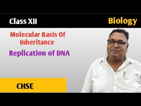 MOLECULAR BASIS OF INHERITANCE || REPLICATION OF DNA|| CLASS XII
