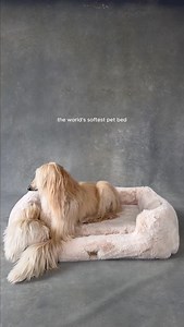 Lola Blankets on Instagram: "The Lola pet bed offers luxurious comfort that soothes joints, calms anxiety, and helps pets rest more peacefully. Crafted from signature Lola faux fur, it regulates temperature year-round while retaining its shape and ultra plush feel. Designed to elevate both your home and your pet’s well-being, it’s where comfort meets Lola luxury."