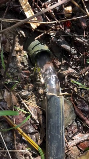 your company’s ci/cd pipeline.