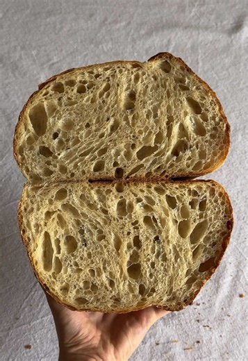 Perfecting Open Crumb Sourdough Bread Techniques