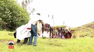 27K views · 696 reactions | OBN Afaan Oromoo on Reels | Facebook