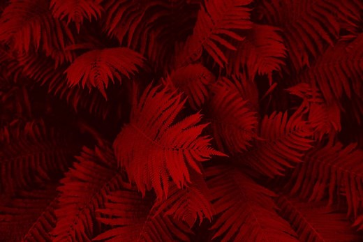 Micro - Michael Crichton