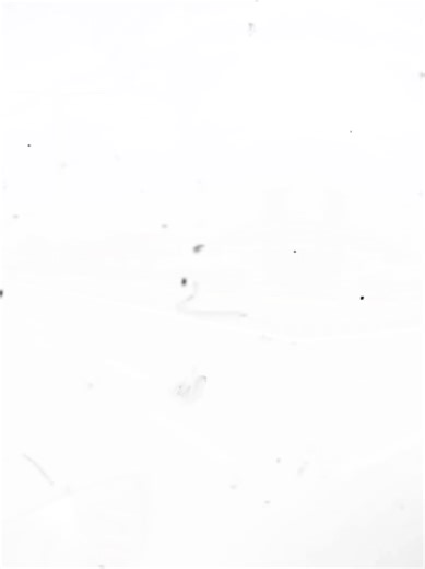 Oofreen Poon (@oofreen_poon)’s videos with original sound - ᴍʀ.ᴘᴀᴜᴅᴇʟ🇳🇵🇦🇺