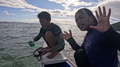 Exploring the ocean's amazing wildlife 🐠