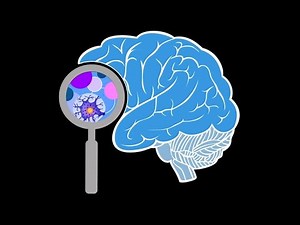 ¿Se puede pensar en manipular la mente? Con Rafael Yuste, del proyecto BRAIN