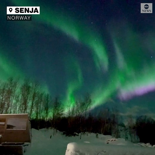 1.8M views · 49K reactions | "Look how purple!" Spectacular Northern Lights revealed as man walks outside his home on the Norwegian island of Senja. https://abcn.ws/3fqmJSf | ABC News | Facebook