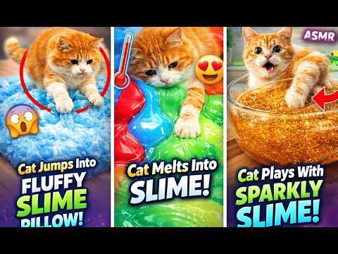 Cat Jumps Into Giant Slime Bed 😱
