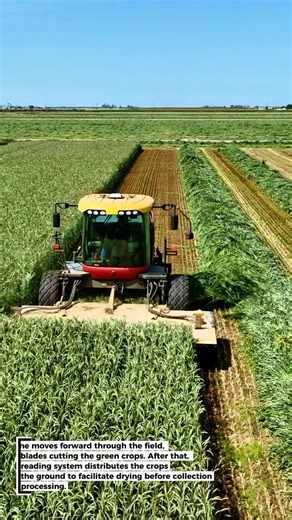 Green Forage Harvesting Machine – Efficient Modern Farming Process!
