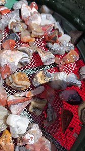 Mexican Crazy Lace Agate update! They're so gorgeous, I can barely stand it! #rocktumbling #crazylaceagate #agate | Heather Evans