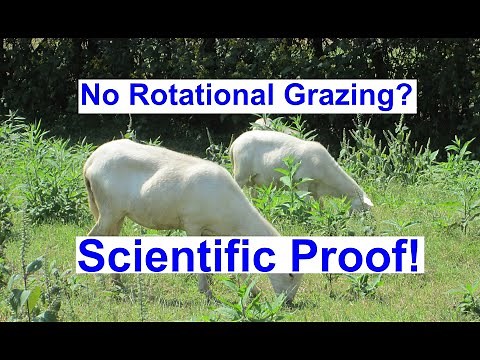 Sheep Rotational Grazing? Scientific Proof Its Not Necessary for St. Croix Sheep.