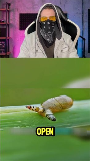 Why This Snail Turns into a Zombie 😳🐌 #nature #facts #shorts