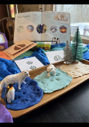 Today’s sensory material was @Play-Doh We also talked about polar animals, animal tracks (some polar, some not), and listened to Frozen on our @Yoto ❤️ We used many resources from Raising Wild Things this month. Such a beautiful addition! @Raising Up Wild Things #sensoryplayideas #preschool #kidsbooks #yoto #winteractivities