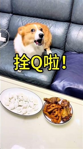 Thank you Silly Brother for feeding us. We ll start eating at 7 o clock on time. See you