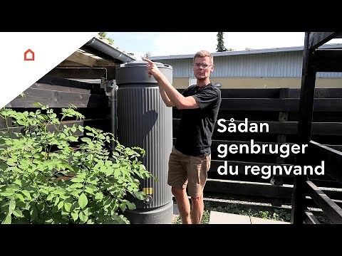 Genbrug regnvandet: Gode råd til opsamling af regnvand i haven