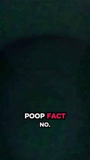 Poop Fact No. 10 How healthy is your poop? Let us know in the comments! FECES/////MATTER Dropping on YouTube 1/30/2026! #filmtok #memes #comedy #indiefilm #experimental
