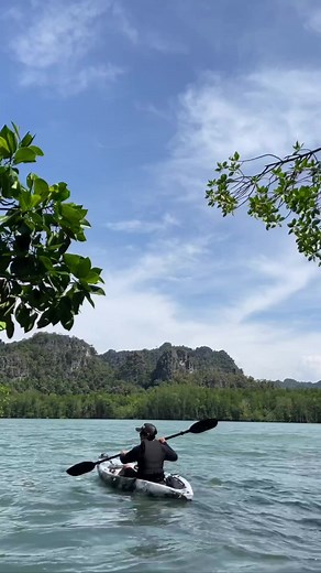 20 reactions | Experience kayaking along a mangrove forest reserve with limestone and rock formations  Experience the ultimate adventure with Mangrove Kayak! Discover the thrill of exploring pristine mangroves, while enjoying a truly enjoyable and educational journey. Reel by @langkawiwildbuddy #NaturallyLangkawi #LangkawiGeopark #99magicalislands #LangkawiBestWey #LangkawiMissesYou #Malaysia #MalaysiaTrulyAsia #Langkawi #island #travel #worlderlust | Naturally Langkawi | Facebook