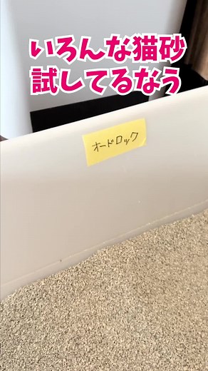 猫トイレレビュー：鉱物系猫砂の実力は？
