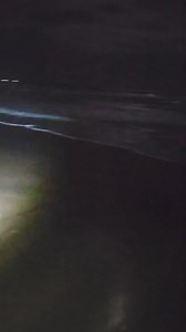 83K views · 655 reactions | October 22, 2024, 2:00 A.M. - Public Notice: Boca Chica Beach and South Padre Island Are Currently Unsafe for Access. No more trash cans, exit marker poles, or signs on Boca Chica Beach. Crazy high tides have washed away almost everything on the shoreline.  -BCBL'S Capt.C.Guillen #BCBL #BocaChicaBeach #Erosion #HighTides #Hwy4Erosion #DangerousSwells | Boca Chica Beach Legends | Facebook