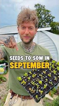 Seeds to Sow in September 🌱 #vegetablegarden #gardeningtips #growyourownfood