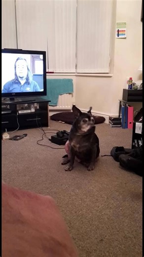 My Figgy Pudding ❤️❤️❤️❤️ | Alex Noott | Facebook