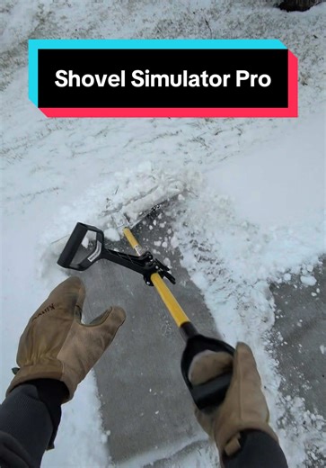 Engaging Snow Shoveling Experience in Montana