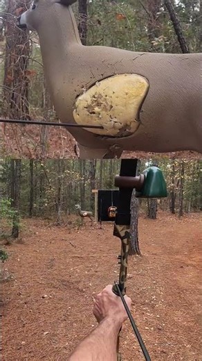 A little bit of shooting with recurve site pins