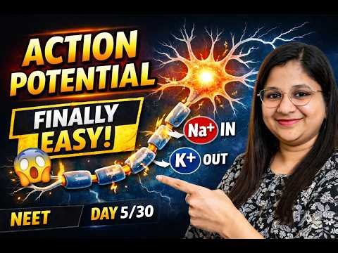 Generation & Conduction of Nerve Impulse Made EASY ⚡ | NEET Biology | BioEdge
