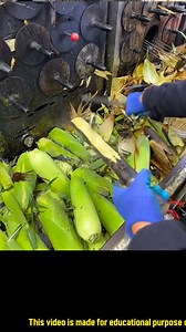 #MuleTransport #MountainLogistics #PackMules #MuleTrekking #AdventureTravel #TrailRides #MulePower #SustainableTransport #WildernessExploration #MuleRiding Mules transporting luggage on mountains involves utilizing these sturdy animals to carry goods and equipment across challenging terrain. Here's what you need to know: *Benefits of Mule Transport* - *Reliability*: Mules are sure-footed and can navigate difficult mountain paths with ease. - *Strength*: They can carry significant weights, typica