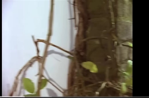 When in Rome- The promise #80s #80sthrowback #80smusic #wheninrome @80s and 90s music 🥰 @TikTok80s90smusic @fyp tiktok @When In Rome